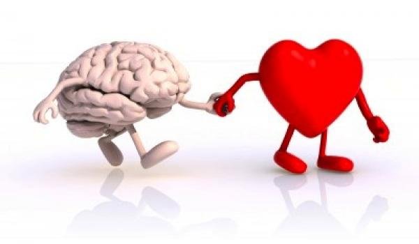 صورة توضيحية على الذكاء العاطفي - اتفاق القلب والعقل